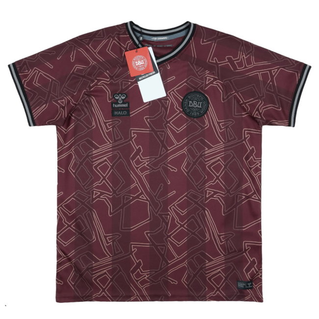 2024-2025 Denmark Special Edition Hummel x Halo Shirt (Kids) (M.Laudrup 10)-SoccerKits Hub | Buy Soccer Jerseys Online